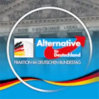 AfD-Fraktion Bundestag 